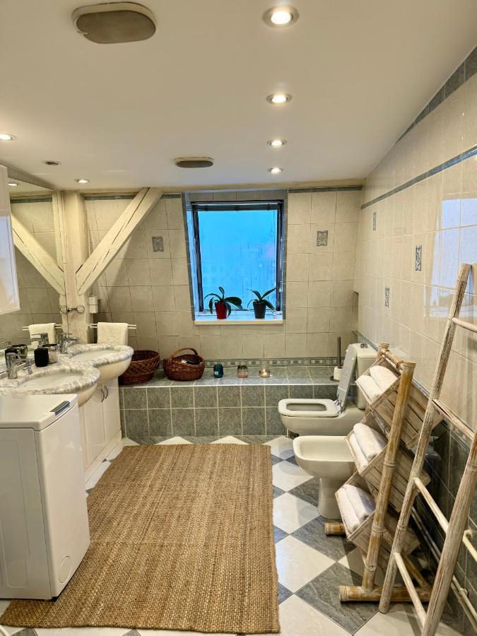 The Rooftop Apartment ليوبليانا المظهر الخارجي الصورة